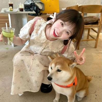 夏日最后的玫瑰